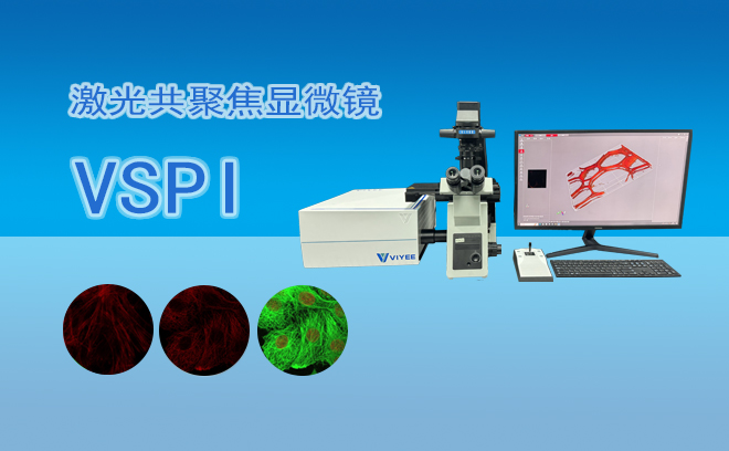 激光共聚焦顯微鏡VSPI